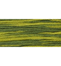 #2202 Bull Frog