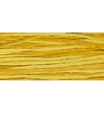 #2224 Squash